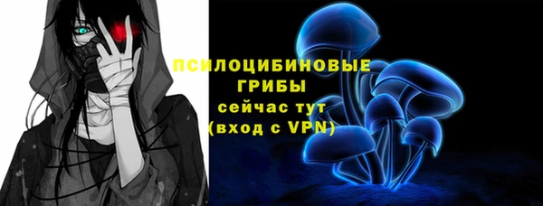 спайс Дмитров
