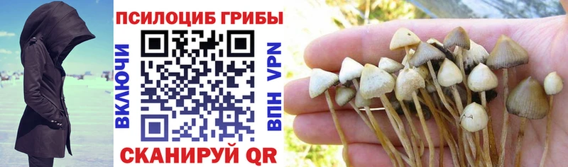 Галлюциногенные грибы Magic Shrooms Зубцов